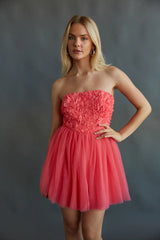 Grace Floral Applique Tulle Babydoll Mini Dress