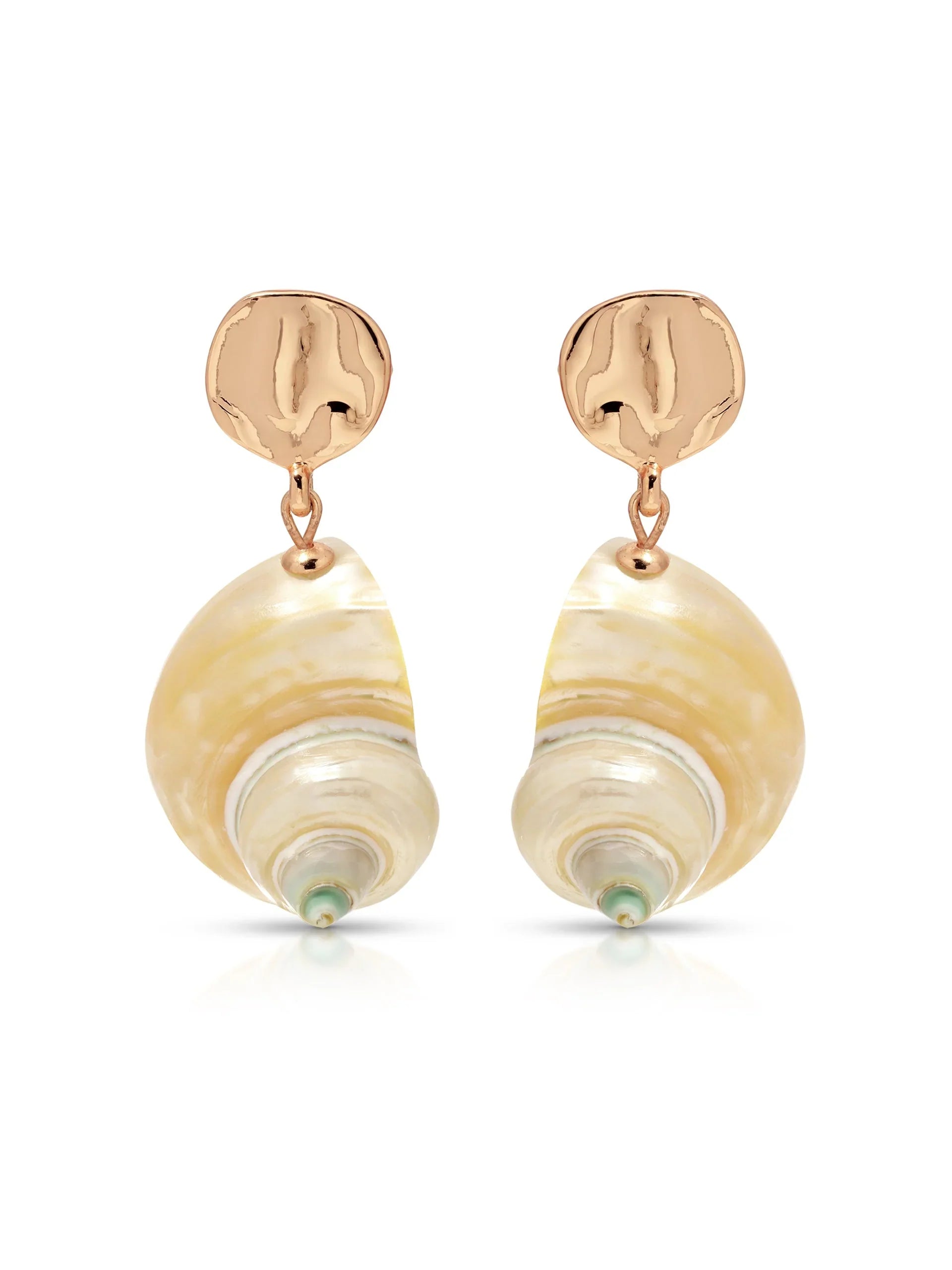 Sunken Treasure Shell Earrings