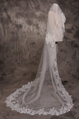 Vintage One Tier Lace Edge With Tulle Wedding Veil