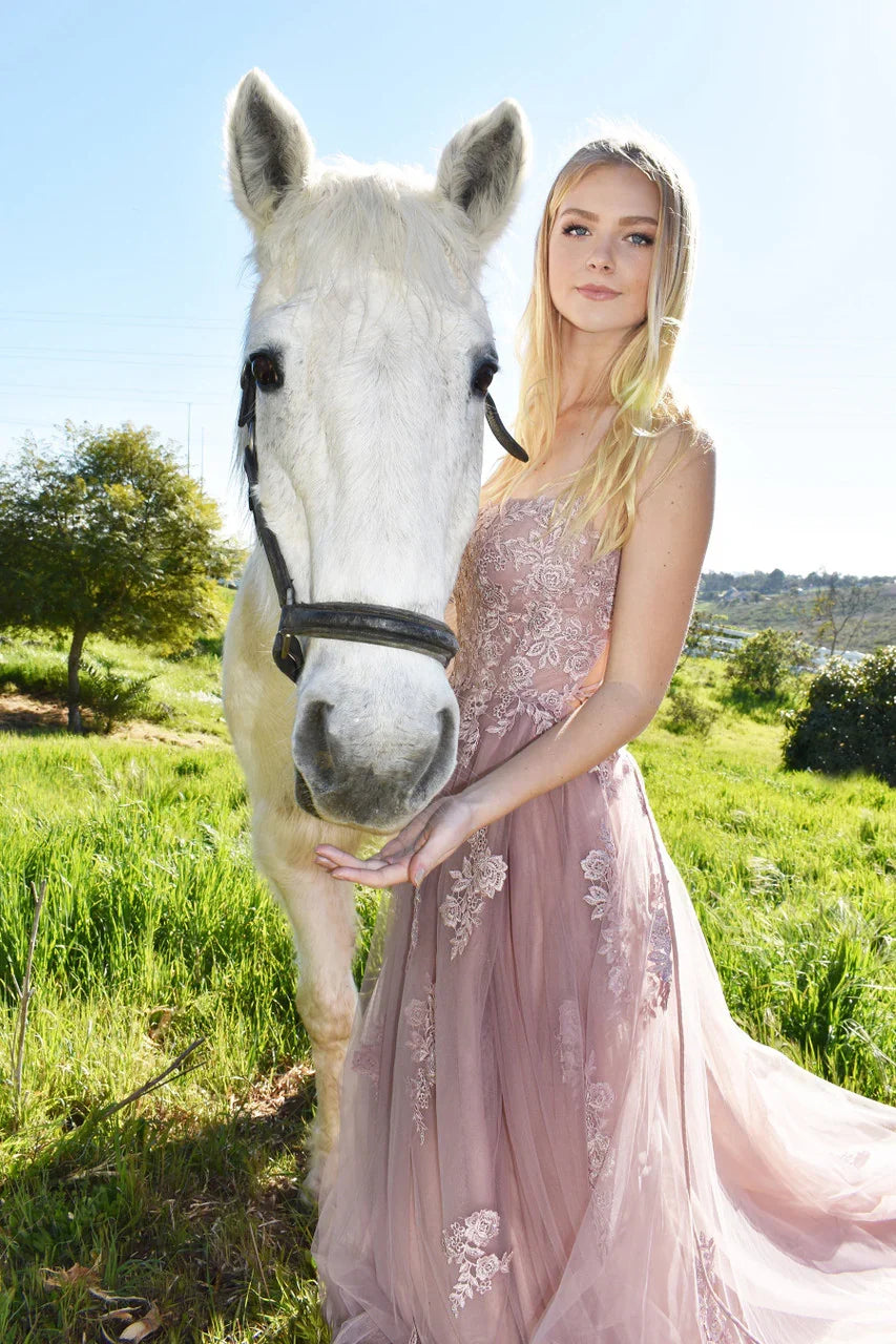 Alisha Gown Mauve Tulle A line Dress With Open Back